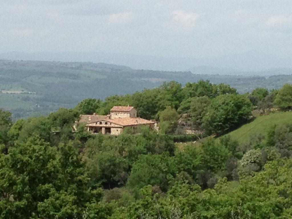 Luxury Villa Colle Dell'Asinello ,Proprietari ,Villa In Esclusiva Near Orvieto グアルデーア 部屋 写真