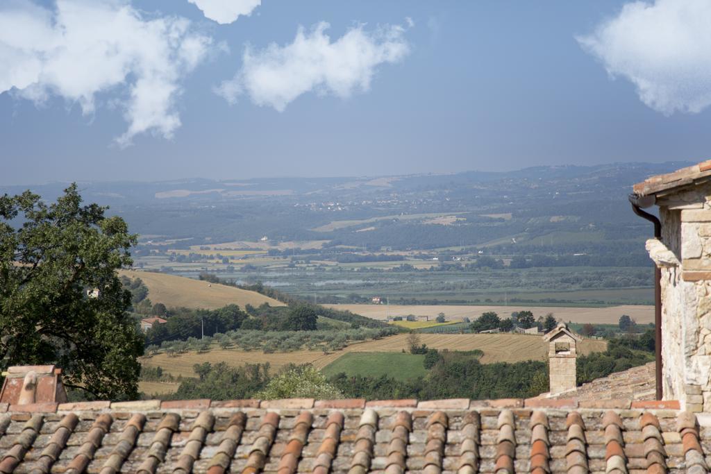 Luxury Villa Colle Dell'Asinello ,Proprietari ,Villa In Esclusiva Near Orvieto グアルデーア エクステリア 写真