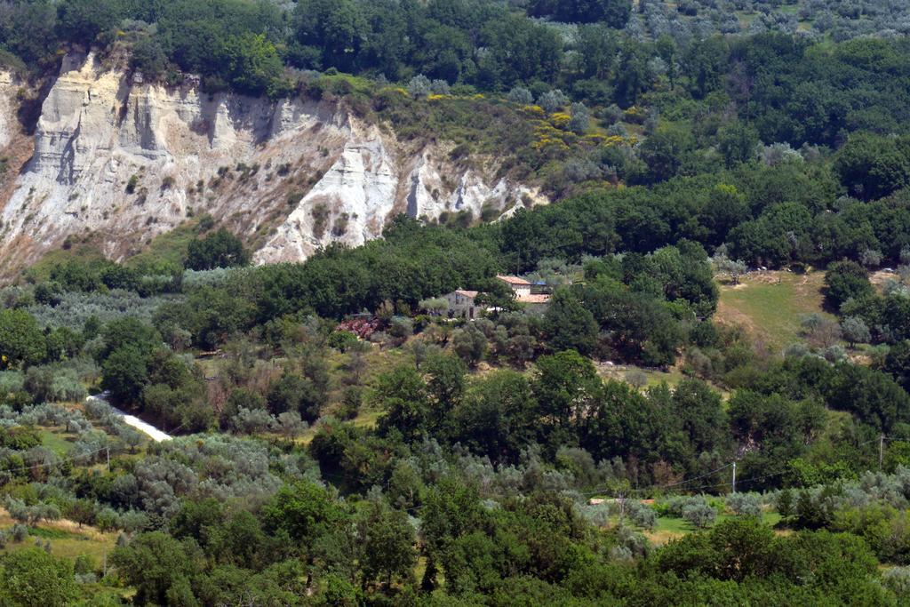 Luxury Villa Colle Dell'Asinello ,Proprietari ,Villa In Esclusiva Near Orvieto グアルデーア エクステリア 写真