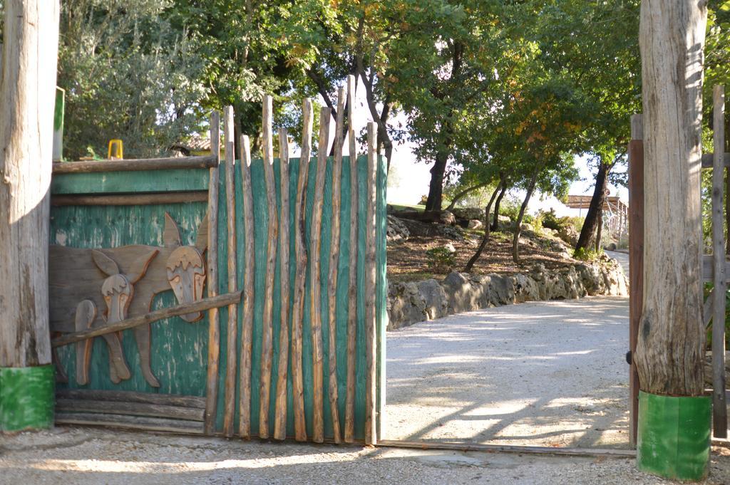 Luxury Villa Colle Dell'Asinello ,Proprietari ,Villa In Esclusiva Near Orvieto グアルデーア エクステリア 写真